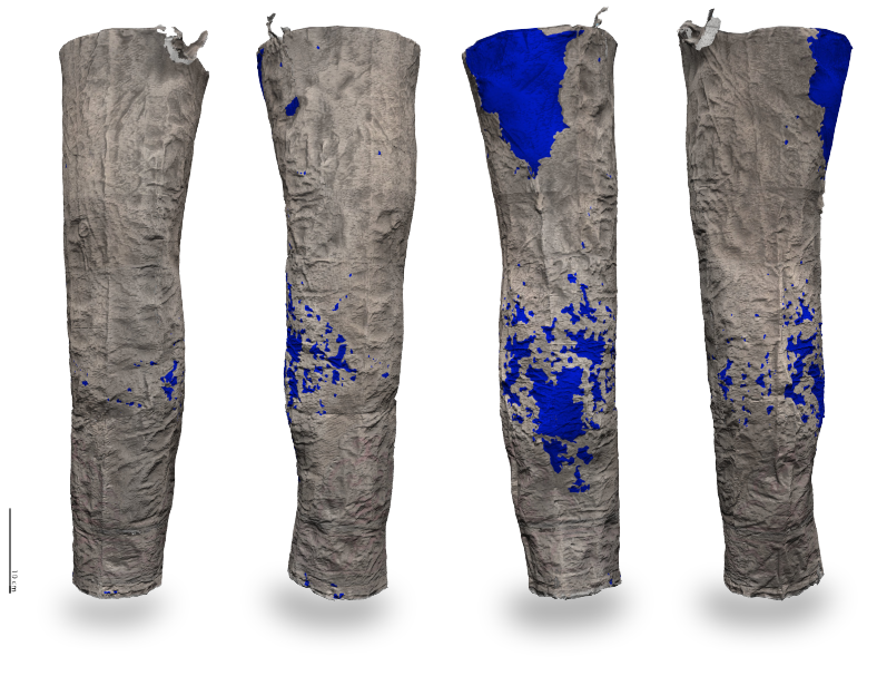 A. Dittus / mit freundlicher Untersttzung der Reiss-Engelhorn-Museen Mannheim 2011